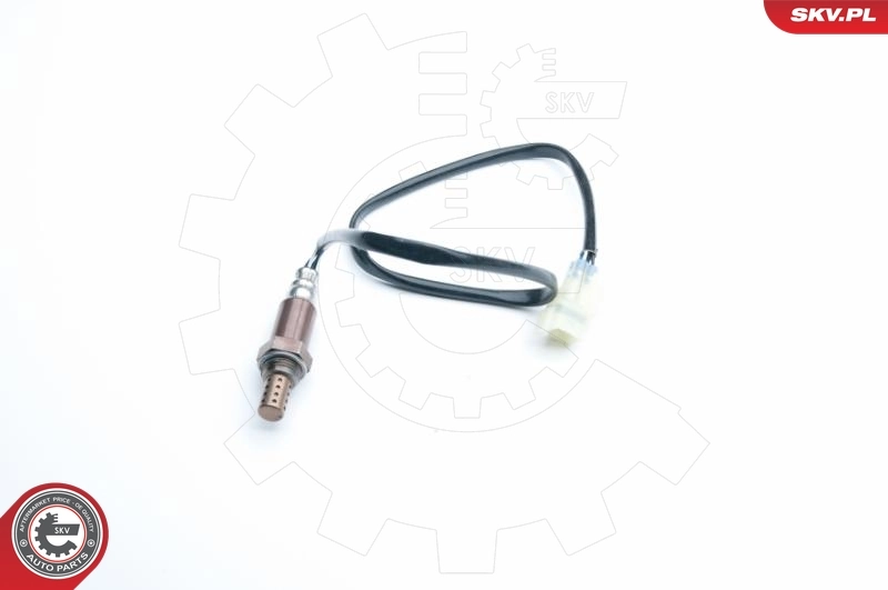 Oxygen Sensor